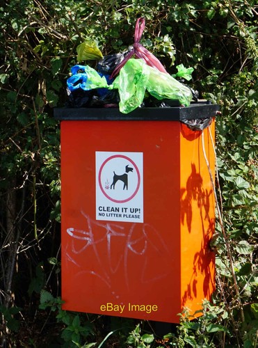 Photo 6x4 dog poo - at, hawks