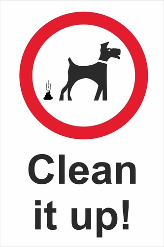Dog poo exercise area - dog,