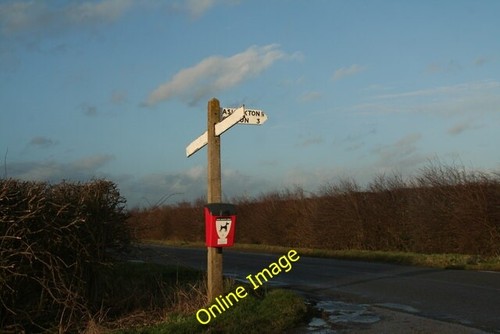 Photo 6x4 dog poo bin - poo,