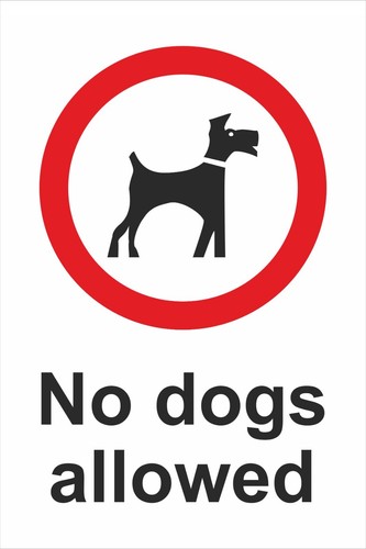 Dogs allowed dog poo - dogs,