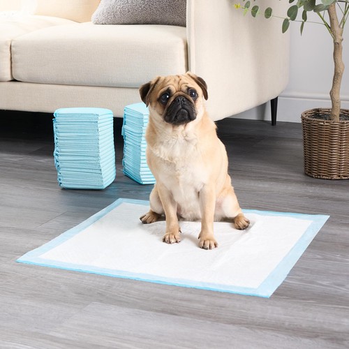 100 training pads absorbent - training,
