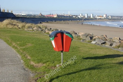 Photo 6x4 dog - dog, bin