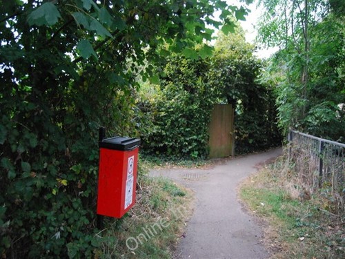 Photo 6x4 dog - poo, bin